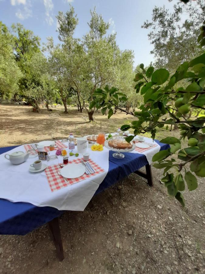 SantʼAnna Arresi B&B Il Girasole מראה חיצוני תמונה