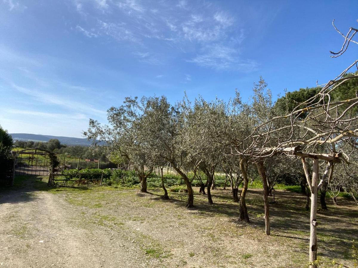 SantʼAnna Arresi B&B Il Girasole מראה חיצוני תמונה