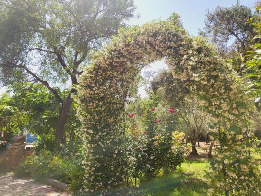 SantʼAnna Arresi B&B Il Girasole מראה חיצוני תמונה