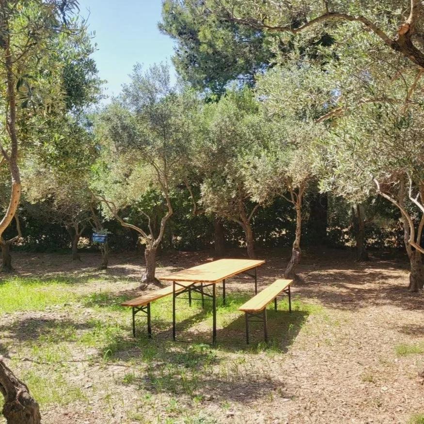 SantʼAnna Arresi B&B Il Girasole מראה חיצוני תמונה